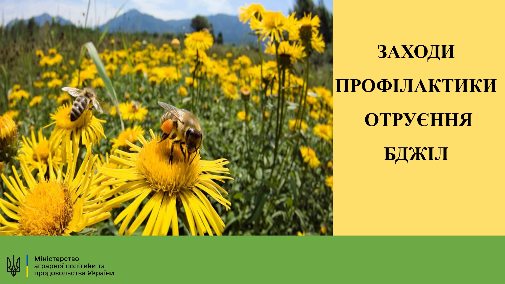 Проведено спільну нараду стосовно профілактики отруєнь бджіл пестицидами та  порядку реєстрації пасік - Красноградська міська рада